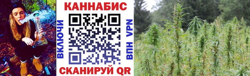 Наркошоп купить APVP  АМФ  Марихуана  Меф мяу мяу  Каменногорск