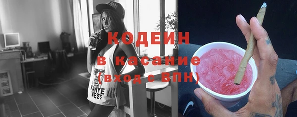 прущие грибы Тавда
