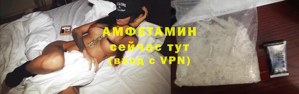 прущие грибы Тавда