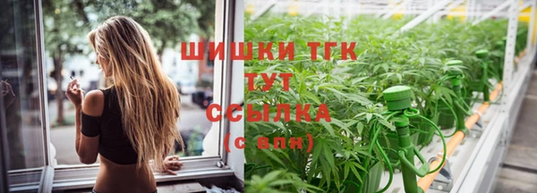 спайс Сясьстрой