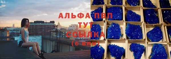 прущие грибы Тавда