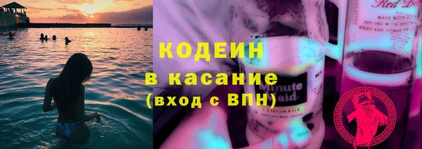 прущие грибы Тавда