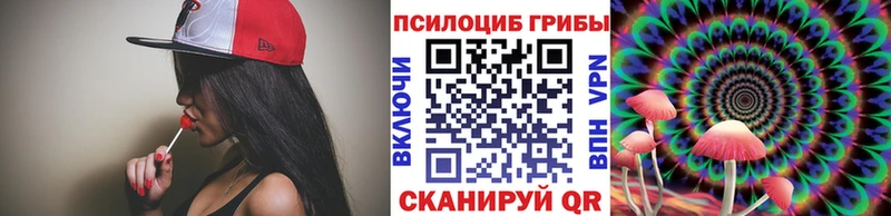 Галлюциногенные грибы мицелий  Купить закладки  Каменногорск 